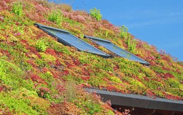 Felixkirk living roof systems